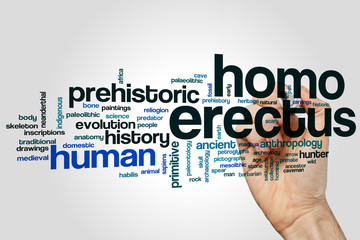 Homo erectus word cloud
