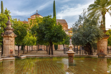 Courtyard of the Great Mosque Mezquita, Catedral de Cordoba, in th sunny day, Cordoba, Andalusia,...