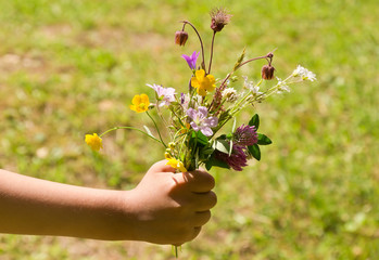 Fototapeta na wymiar Bouquet of summer wildflowers in hand on green meadow background 
