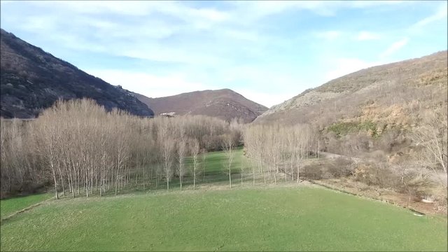 Vuelo sobre chopera