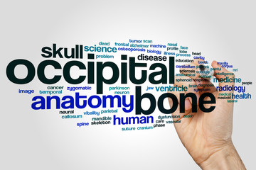Occipital bone word cloud