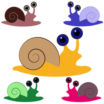 Color snail on white background