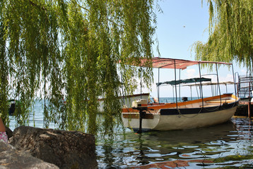 Obraz premium Boats on water surrounded by weeping willow branches; summer background.