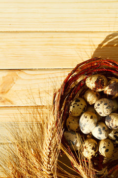 Picture of basket with quail eggs and spikelets around. Easter holiday concept.