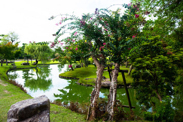 Park in Nara