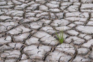 Cracked Earth