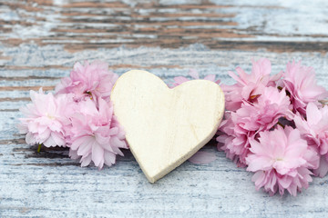 Fototapeta na wymiar cherry flowers with white heart on wood