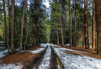 Road covered with snow at winter - Yosemite National Parl, California, USA