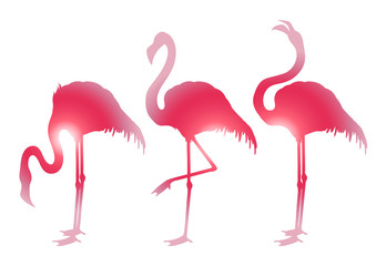 Cute graphic flamingo
