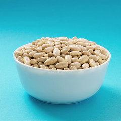 Raw white bean or navy bean in bowl on blue background