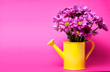 pink flowers in yellow can