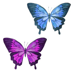Fototapeta na wymiar Watercolor illustration, set, image of colored transparent butterflies.