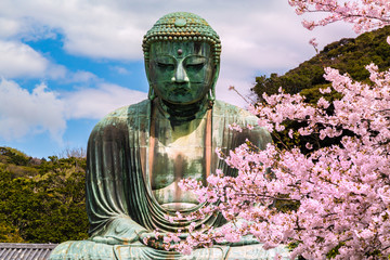 The Great Buddha  in Kamakura Japan. The foreground is cherry blossoms. Located in Kamakura, Kanagawa Prefecture Japan.