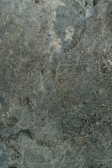 Gray granite texture