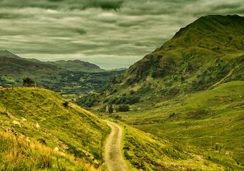 Szkocki klimat © Anna