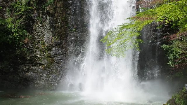 大阪府営箕面公園 箕面の滝