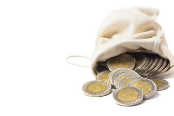 Bag of coins isolated on a white background