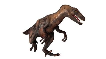 Raptor Velociraptor dinosours - isolated on white background