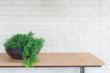 interior, plants on wood table
