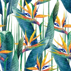 Printed kitchen splashbacks Paradise tropical flower Watercolor strelitzia pattern