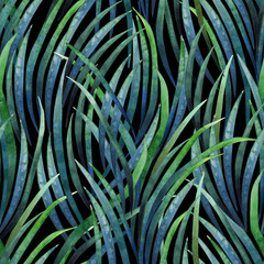Watercolor tillandsia cyanea pattern - obrazy, fototapety, plakaty