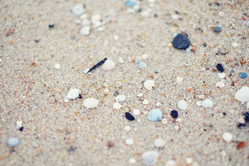 Fototapeta na wymiar Sea Sand and Seashells