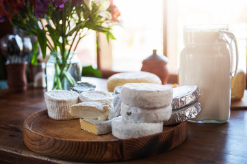 Set of different cheese