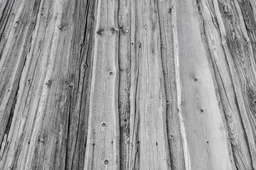 Abstract Background Wood Texture Of An Old Tree Trunk