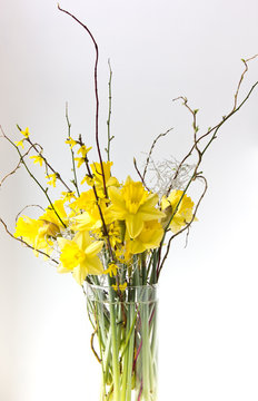 yellow daffodils in a vase with decoration