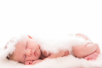 Infant baby with angel wings on neutral background - obrazy, fototapety, plakaty