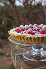 cheesecake tart with raspberries on a cake stand outside