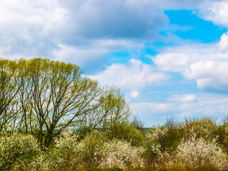 Obraz premium Wiosenne krajobrazy