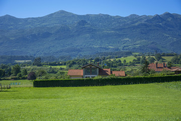 Naklejka premium Asturian landscape 69