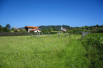 Asturian landscape 75