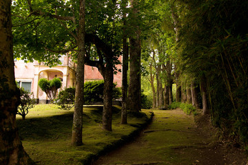 Abandoned and dilapidated mansion in a beautiful and well-groomed Park in the shade of the trees