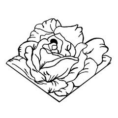 контурная татуировка пионовидная роза