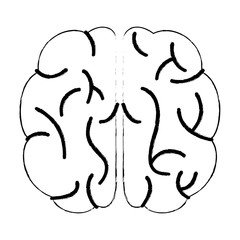 sketch brain human knowledge process vector illustration eps 10