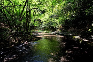 Obraz premium 岳切渓谷