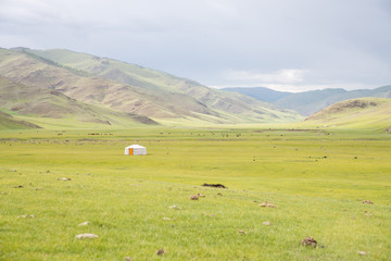 Yourte dans la steppe Mongole