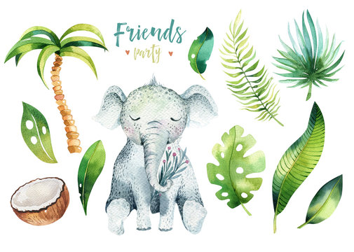 Baby animals nursery isolated illustration for children. Watercolor boho tropical drawing, child cute tropic turtle. Baby shower
