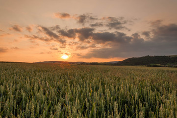 Obraz premium Sunset