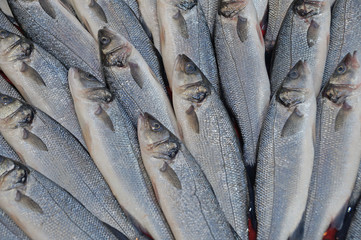 Sea fish is freshly caught and sold on food stalls