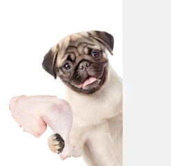 Dog holding a chicken in its paw and peeking from behind empty board. isolated on white background
