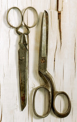 old scissors on white plywood background