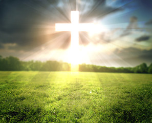 Bright cross in field