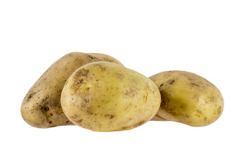 New potato isolated on white background close up