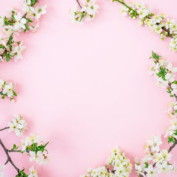 Spring Time Background. Frame Of Spring White Flowers On Pink Background. Flat Lay, Top View.