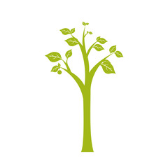 Tree nature ecology icon vector illustration graphic design