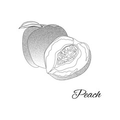 Peach. Page for coloring book. Doodle design.Fruits. Vector illustration.