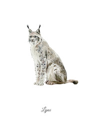Handpainted watercolor poster with lynx © olesyaturchuk